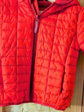Cat & Jack Size 5T Girls Red Coat